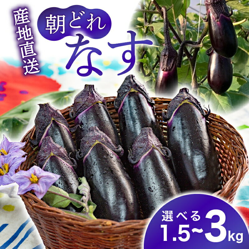 【ふるさと納税】 朝採れ ナス 選べる 1.5kg or 3kg 農家直送 新鮮 茄子 なす ナスビ 薄皮 漬物 味噌汁 カレー 中華料理 野菜 夏野菜 ベジタブル 農産物 旬 季節 食材 料理 レシピ 健康 ビタミン ミネラル 栄養 食物繊維 安芸市 高知県