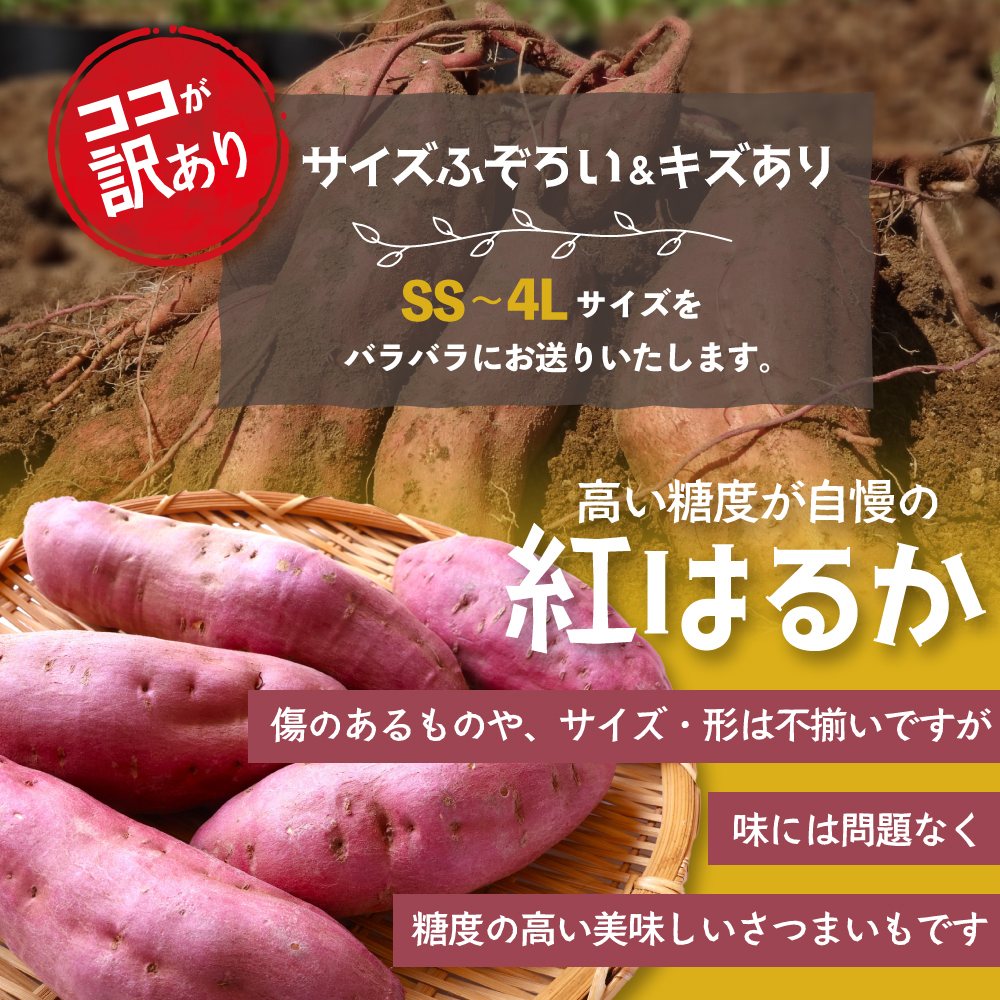 ≪訳あり≫ 栽培期間中農薬不使用 サツマイモ 5kg 紅はるか 無農薬 さつまいも サツマイモ ワケアリ ワケアリ わけありさつまいも詰め合わせ 芋 いも 三重県 多気町 GE‐01　