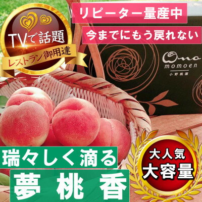 【ふるさと納税】【瑞々しく滴る次世代を担う夢桃香】人気品種指定ギフト4年連続TV出演話題ブランド2025年6月下旬～【配送不可地域：離島・北海道・沖縄県・中国・四国・九州】【1465416】