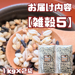CIB22_雑穀５　１㎏×２袋（２㎏）