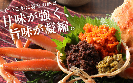 【訳あり】急速冷凍 ボイルかに 越前せいこがに 150g前後 × 5杯入 越前かに 食べ方しおり付【海鮮 蟹 セコガニ ずわいがに雌 かに 越前ガニ ゆでカニ 冷凍かに 送料無料】 [e15-b009