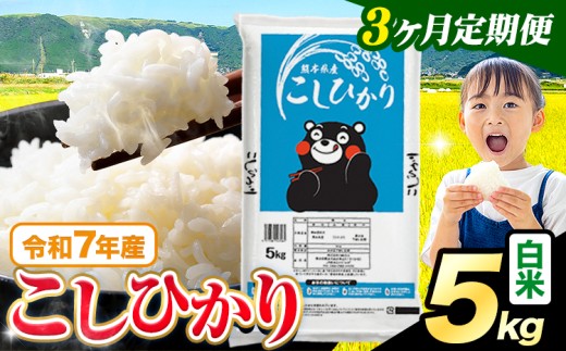 【3ヶ月定期便】令和7年産  白米 こしひかり 5kg《お申込みの翌月出荷》熊本県産 ふるさと納税 白米 精米 ひの 米 こめ ふるさとのうぜい コシヒカリ コメ お米 おこめ