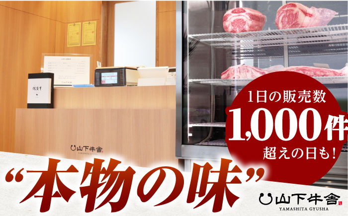 【全3回定期便】佐賀牛 ヒレ サイコロステーキ 500g(250g×2パック)【山下牛舎】 [HAD072]