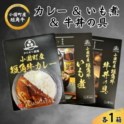 【ふるさと納税】短角牛カレー&いも煮&牛丼の具　各1箱(計3箱)【1587961】