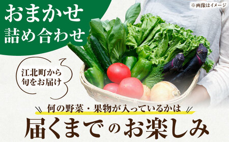 【隔月発送】【全3回定期便】新鮮野菜・加工品 おまかせ詰め合わせ【だいちの家】野菜 フルーツ 漬物[HAG016]