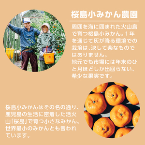 No.359-A 国産クラフトジン KOMASA GIN(45％)桜島小みかんセット(500ml×2本・計1000ml) 酒 スピリッツ 焼酎 クラフトジン 常温 常温保存【小正醸造】