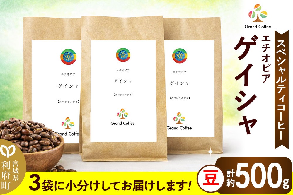 コーヒー シングルオリジン エチオピア ゲイシャ 3袋（計約500g） 宮城県利府町（豆） [コーヒー スペシャルティコーヒー エチオピア ゲシャビレッジ ゲイシャ 高級紅茶 苦みが少ない ハイロースト シングルオリジン]|06_grc-040101a