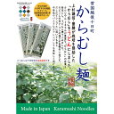 【ふるさと納税】【豊富な栄養！】雪国越後十日町からむし麺（うどん） 10束入りギフト（200g×10束） 　 うどん 麺 麺類 からむし 新潟 　お届け：順次発送