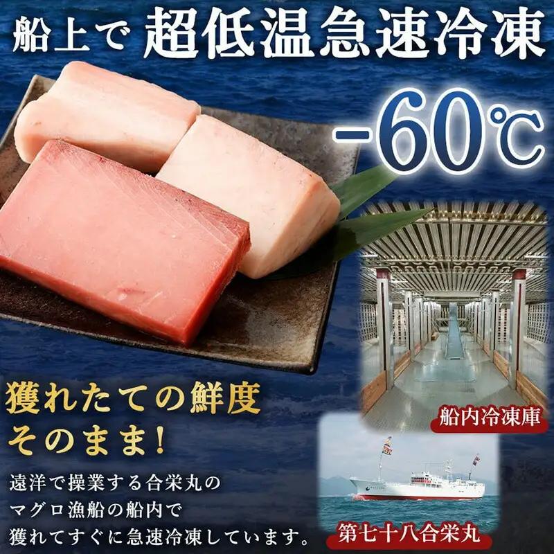 天然マグロ 2種 約650g 【まぐろ】ge001