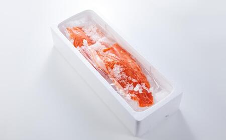 【冷蔵：真空パック】国産 琴浦グランサーモン 活〆 生フィレ 1kg（500g×2P）