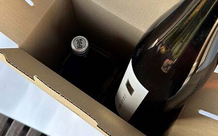 山形正宗とろとろ梅酒と梅酒 1800ml 各1本セット F2Y-4401