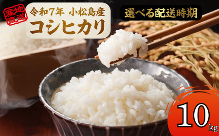 【配送時期が選べる】米 コシヒカリ 10kg 小松島市 令和7年産 精米 白米 お米