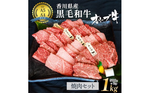 
                  [№4631-2828]「期間限定」香川県産黒毛和牛オリーブ牛「焼肉1kg(500g×2p)」牛肉 肉 お肉 和牛 香川 香川県 東かがわ市
                