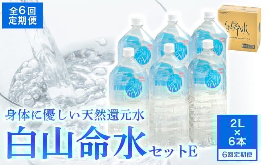 白山命水 セットE 6回定期便（ペットボトル2L×6本入り） ミネラルウォーター 国産 人気 水 白山命水 天然水 定期 定期便
