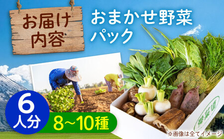 旬野菜セット 6人用 [BAFW002] 野菜詰合せ 