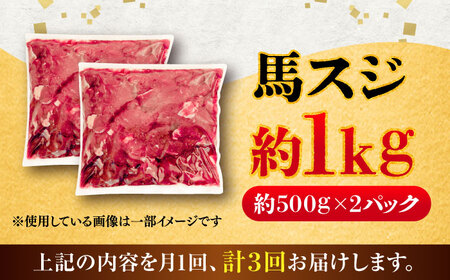 【全3回定期便】馬スジ 約1kg (約500g×2パック) / 馬肉 スジ 馬すじ 煮込み 煮物 カレー お肉 スジ肉 スジ すじ肉 料理用 馬 肉 熊本 すじ【五右衛門フーズ】[BHCY042]