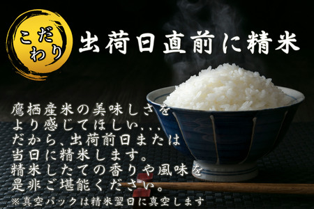 A278　【 令和6年産 】 ななつぼし （ 精 白米 ） 北海道 米 定番の品種 5㎏ 北海道 鷹栖町 たかすのお米 米 コメ こめ ご飯 白米 お米 ななつぼし コメ 白米