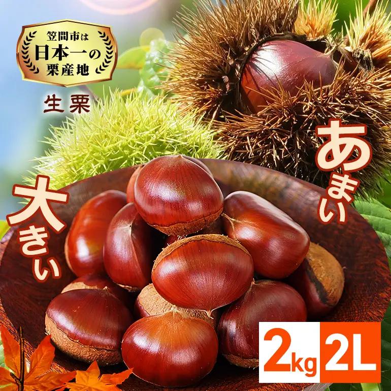 【2026年先行予約】 生栗 2kg 栗 2L 農産物直売所すわ ＜10月以降順次発送予定＞ JV-006