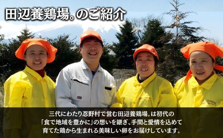 【定期便】忍野の平飼い放牧卵　6か月連続定期便（毎月30個×6か月　合計180個）|たまご 卵かけご飯 たまご タマゴ 健康 玉子