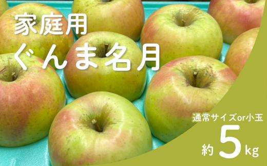 
            りんご ぐんま名月 家庭用（通常サイズor小玉） 約5㎏ / 11月上旬頃～配送予定 // 長野県 南信州 リンゴ 林檎 名月 訳あり 自家用 農家直送 農家支援 産地直送 KR13 KR43
          