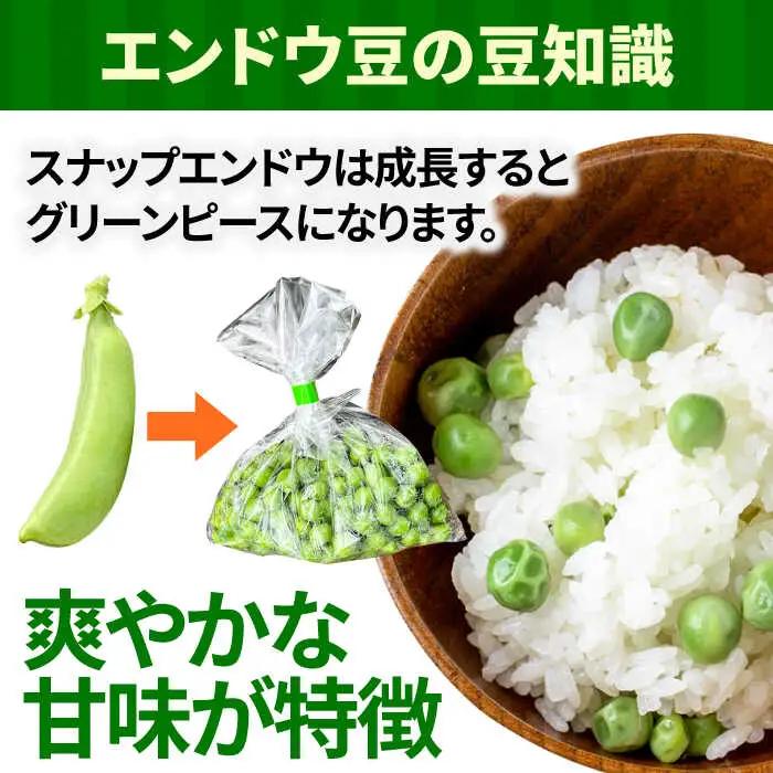 【2027年1月-発送】スナップエンドウ　サイズ違い　食べ比べセット　100g × 5袋 / 小分け / 南島原市 [SFL001]
