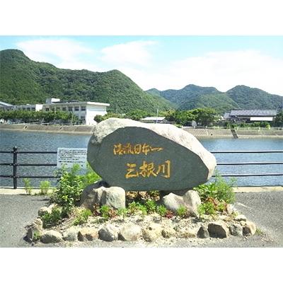 ふるさと納税 対馬市 【令和7年産】先行受付長崎県対馬産「ほたる舞う三根川の米」ひのひかり(10kg×1袋) |  | 03