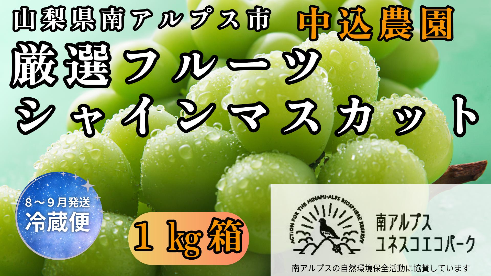 
                  ＜2026年発送先行予約＞ 山梨県南アルプス市産 厳選 シャインマスカット 約1kg ALPEM003
                