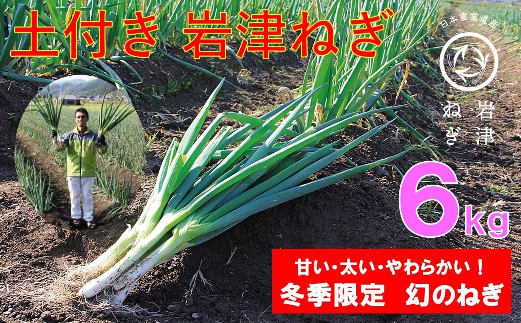 
            髙本さんちの土付き岩津ねぎ 6㎏ 岩津ねぎ いわつねぎ ねぎ ネギ 長ネギ 長ねぎ 冬季限定 朝来市限定 甘い 太い 軟らかい すき焼き 天ぷら 焼きねぎ 鍋物 メディア紹介多数！
          