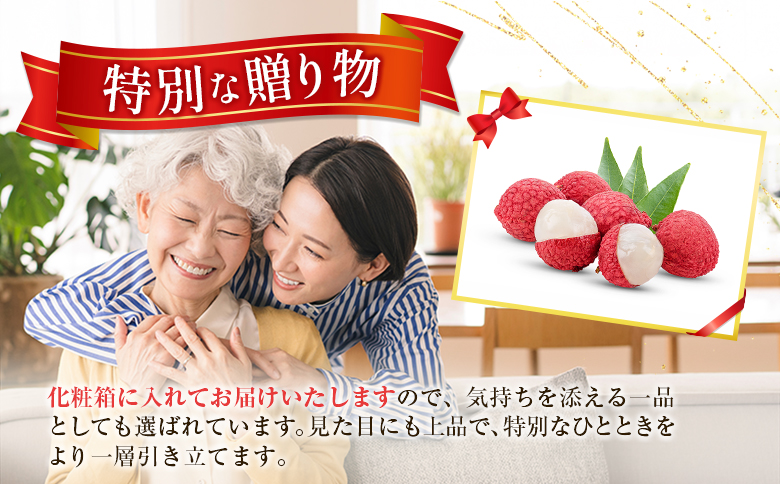＜数量限定＞新富町産 ライチ（約400g）国産 フルーツ 果物 贈答品【B704】