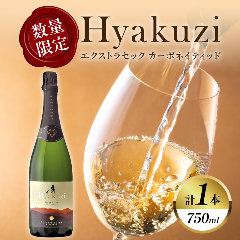 【数量限定】Hyakuzi エクストラセック カーボネイティッド(計1本)_T014-007【酒 飲料 アルコール 国産 人気 ギフト 食品 お酒 BBQ お土産 限定品 贈り物 送料無料 プレゼント】