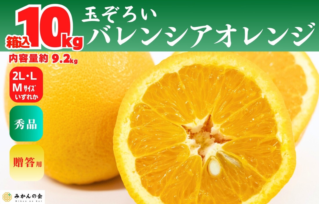 バレンシアオレンジ 国産 玉ぞろい 秀品 箱込 10kg (内容量 9.2kg ) 2L L M サイズのいずれか 和歌山県産 産地直送【みかんの会】 AX409