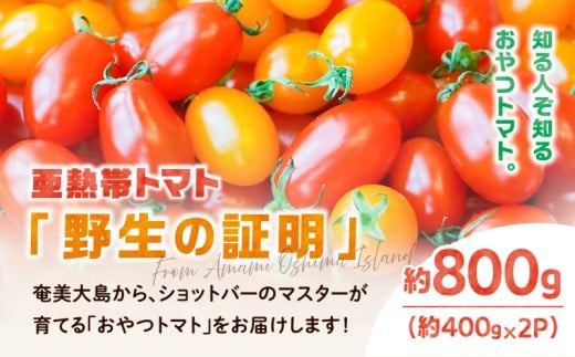 【2026年先行予約】亜熱帯トマト「野生の証明」約800g（約400g×2P）　A021-002-01