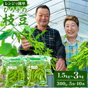 【ふるさと納税】ひろ子の枝豆 300g×5 or 10袋