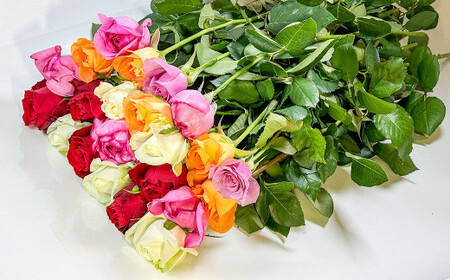 バラの花束 混合（20‐30本）| 花 バラ 薔薇 生花 ローズ 花束 ブーケ 贈り物 プレゼント ギフト【2026年11月下旬頃迄発送予定】