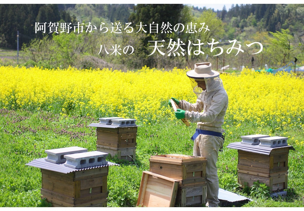 【環境大臣賞受賞】【特別賞受賞】 HACHIBEI 阿賀野産 天然 はちみつ 3本セット  1L02013