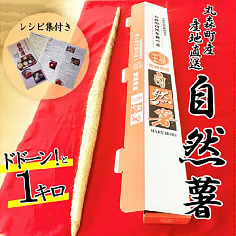 【ふるさと納税】R7年度産予約寄附 丸森町産 自然薯1kg 専用化粧箱入り レシピ集付き｜冬季限定 贈り物へもぴったり！ドドーンと1kgお届け 送料無料【12103】