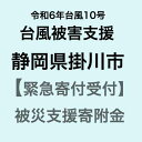 【ふるさと納税】【令和6年台風10号被害支援緊急寄附受付】静岡県掛川市災害応援寄附金（返礼品はありません）