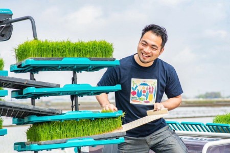 茨城県下妻市産虹のきらめき玄米10kg 〈茨城県共通返礼品・下妻市〉※着日指定不可_DN03