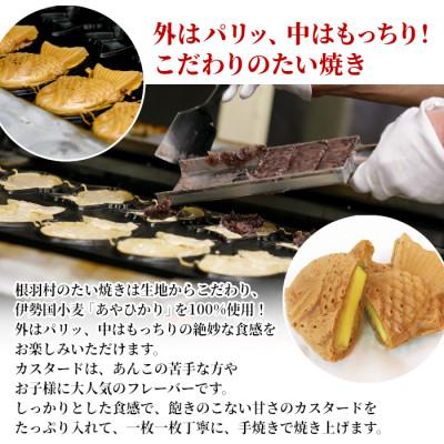 ふるさと納税 根羽村 サクサク・もちもち　たい焼きカスタード　8枚 和菓子 |  | 01