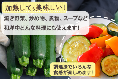 【産地直送】中神農園の ズッキーニ 約2kg (10～12本) 【期間限定：11月下旬～5月下旬発送】野菜 夏 やさい 煮る 炒める 生食 ミネラル ビタミンC ずっきーに 新鮮 甘み 酸味 用途多様