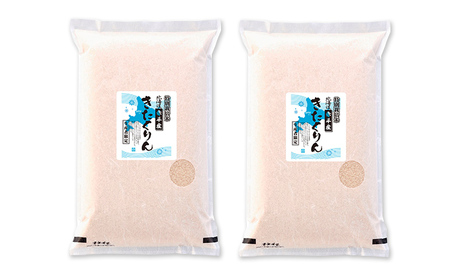 きたくりん特別栽培米 北海道産 きたくりん【10kg(5kg×2袋)】