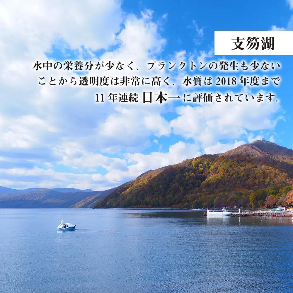 北海道 千歳市☆応援寄付金☆【返礼品なし】5,000円