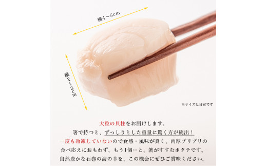 宮城県産 生食用 生ホタテ貝柱（500g/約15個〜18個入り）冷蔵