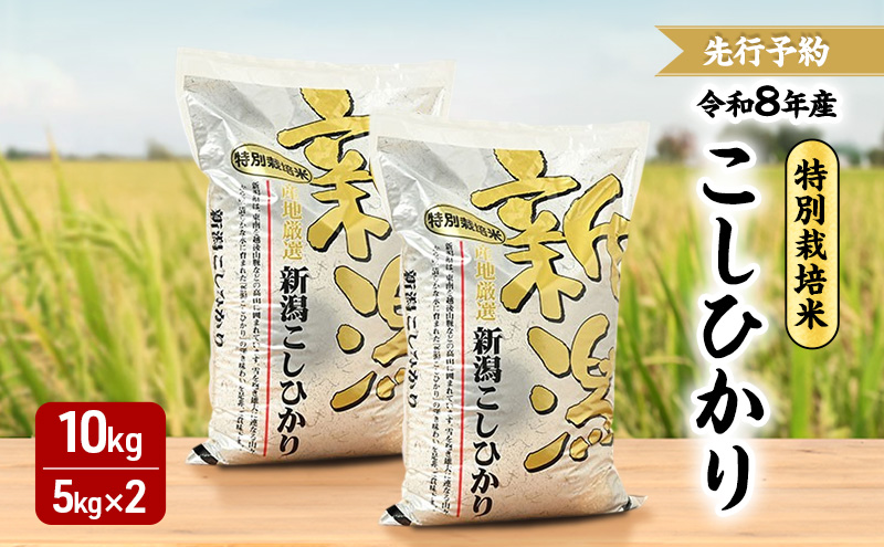 先行予約 令和8年 新潟県産コシヒカリ 特別栽培米 10kg 10キロ（5kg×2） 上越市 三和区神田 富永農産 有機肥料 自家製たい肥