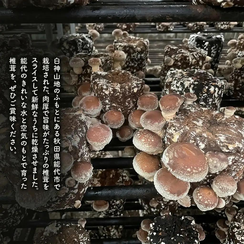 乾燥シイタケスライス 25g×5袋 秋田県産 しいたけ 椎茸 出汁 だし 乾物 
