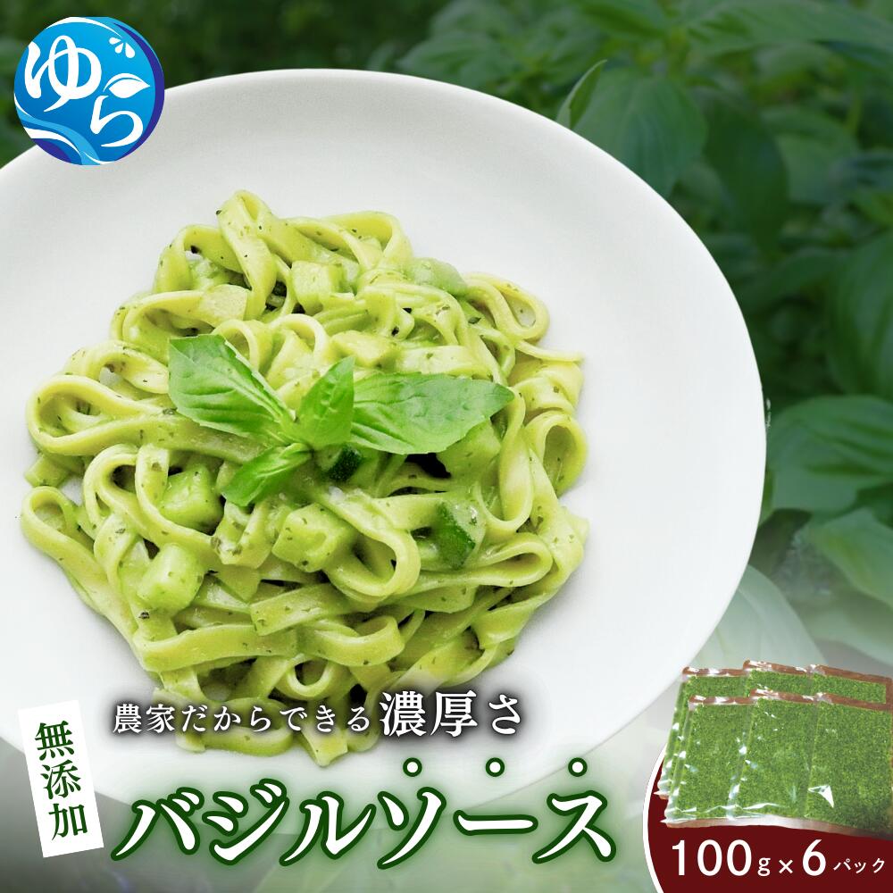 【ふるさと納税】農家だからできる濃厚『無添加　バジルソース』 パック 100g×6 | バジルソース フレッシュ バジル 調味料 国産 スパイス 料理 簡単 パスタ ピザ サラダ ジェノベーゼ 和歌山県