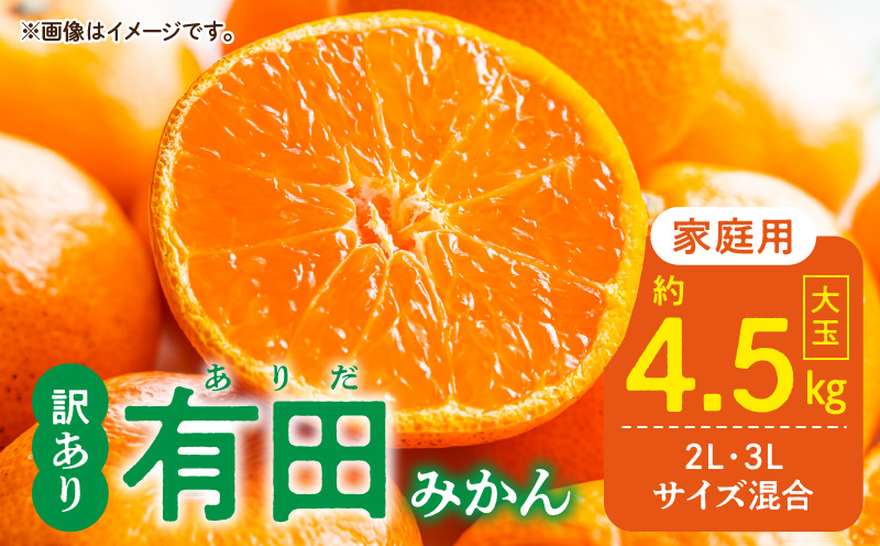 DZ6218_ご家庭用 有田みかん 和歌山 大玉(2L,3Lサイズ混合) 約4.5kg