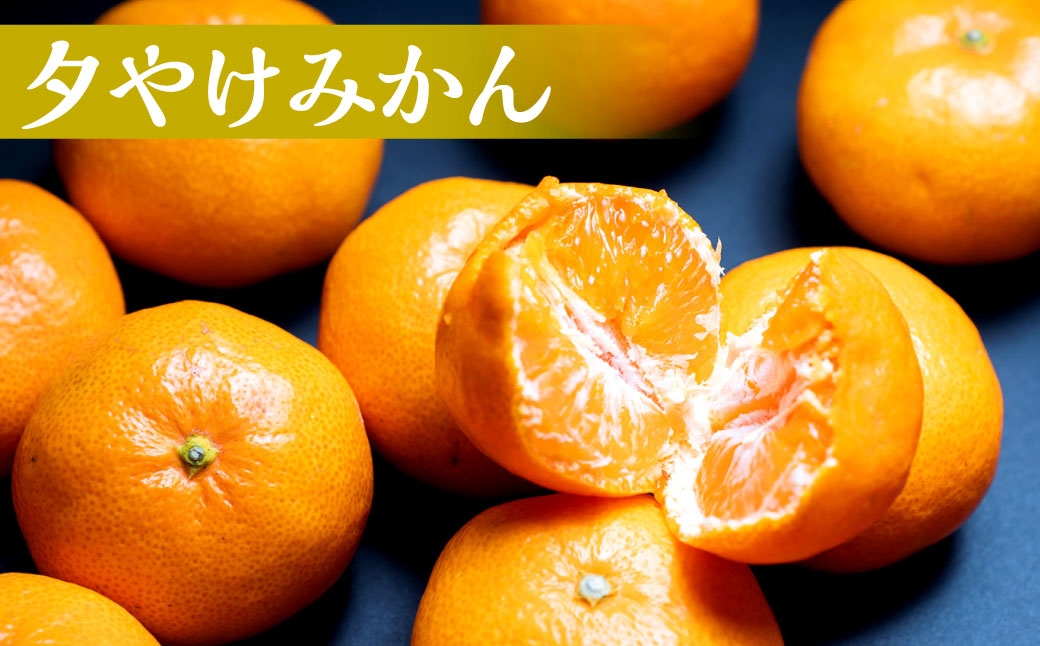 まどんなと夕やけみかん食べ比べ約4kg