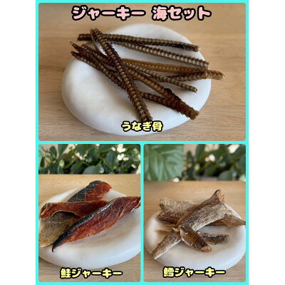 【ふるさと納税】【ふるさと納税限定セット】【わんちゃん用ペットフード】 WalkyHoliday ジャーキー海セット【1754027】
