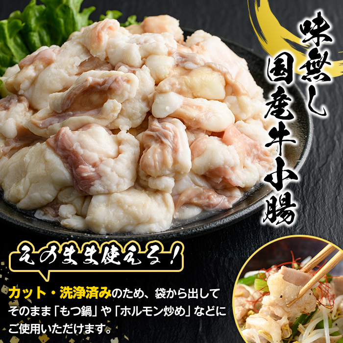 ＼テレビで紹介されました！／国産！牛×豚ホルモン食べ比べ4種セット(合計2.2kg)  阿久根市 国産 特産品 小腸 味付 パック 詰め合わせ 詰合せ 炒め物 鍋 モツ おかず お弁当 小分け 個包装